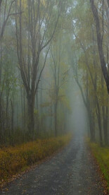 高清唯美风景拍摄竖屏素材