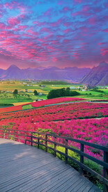 高清唯美风景拍摄竖屏素材