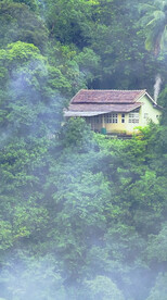 高清唯美风景拍摄竖屏素材