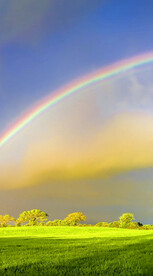 高清唯美风景拍摄竖屏素材