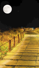 高清唯美风景拍摄竖屏素材