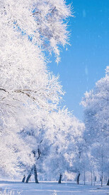 高清唯美风景拍摄竖屏素材