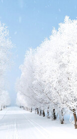 高清唯美风景拍摄竖屏素材