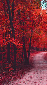 高清唯美风景拍摄竖屏素材