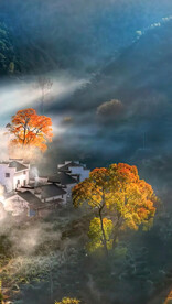 高清唯美风景拍摄竖屏素材