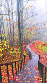 高清唯美风景拍摄竖屏素材