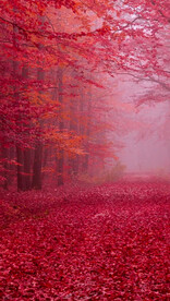 高清唯美风景拍摄竖屏素材