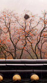 高清唯美风景拍摄竖屏素材