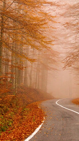 高清唯美风景拍摄竖屏素材