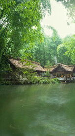 高清唯美风景拍摄竖屏素材