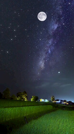 高清唯美风景拍摄竖屏素材