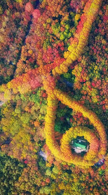 高清唯美风景拍摄竖屏素材