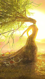 高清唯美风景拍摄竖屏素材