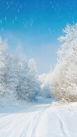 高清唯美风景拍摄竖屏素材
