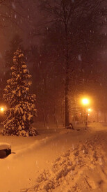 高清唯美风景拍摄竖屏素材