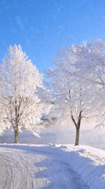 高清唯美风景拍摄竖屏素材