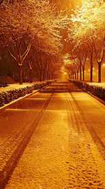 高清唯美风景拍摄竖屏素材