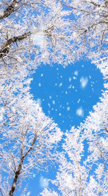 高清唯美风景拍摄竖屏素材