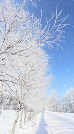 高清唯美风景拍摄竖屏素材
