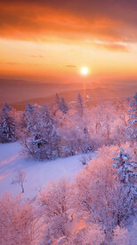 高清唯美风景拍摄竖屏素材