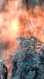 高清唯美风景拍摄竖屏素材