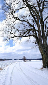 高清唯美风景拍摄竖屏素材