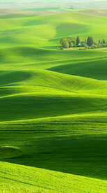 高清唯美风景拍摄竖屏素材