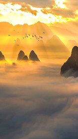 高清唯美风景拍摄竖屏素材