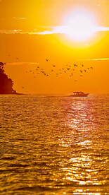 高清唯美风景拍摄竖屏素材