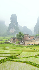 高清唯美风景拍摄竖屏素材