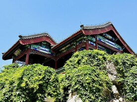 大观园楼阁绿植