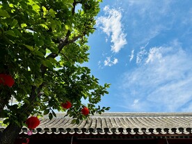 报国寺古建初夏