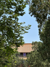 国子监孔庙绿植古建