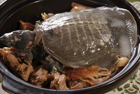 甲鱼煲