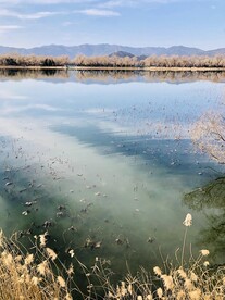 颐和园湖面远山