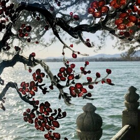 颐和园园林透窗