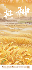 芒种 节气海报