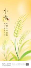 小满 芒种 节气海报