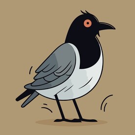 有趣喜鹊卡通儿童插画