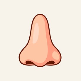 可爱鼻子矢量卡通插画