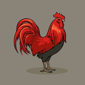 可爱公鸡矢量卡通画儿童插画