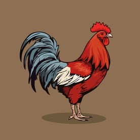 可爱小鸡矢量卡通画儿童插画