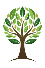 橄榄树矢量插图图标