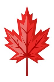 枫树矢量插图图标