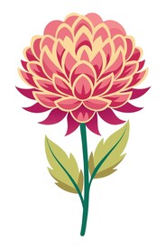 菊花矢量插图
