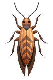 蟑螂矢量插图图标