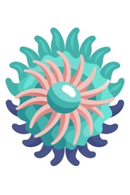 海葵矢量插图