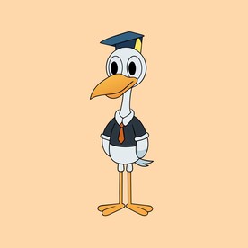 戴毕业帽的白鹳