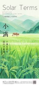 小满 节气海报
