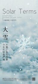 大雪 节气海报